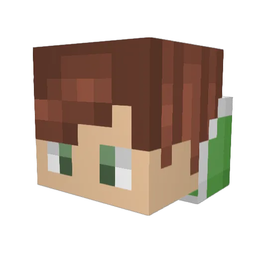 CoveringLiam1656 Minecraft avatar head, 3D render
