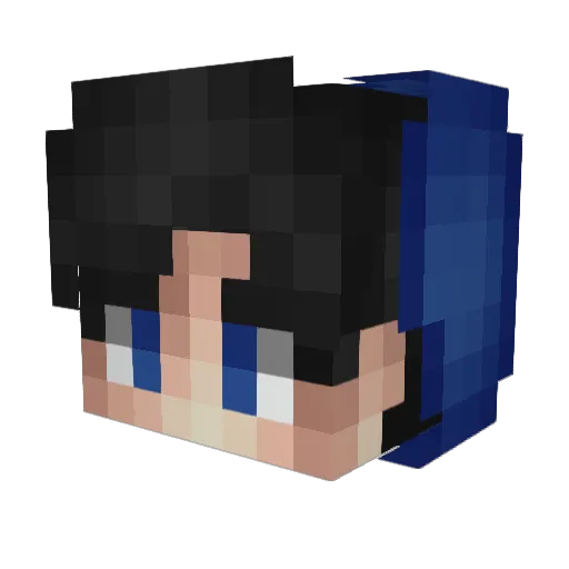 CovertFlyer2076 Minecraft avatar head, 3D render