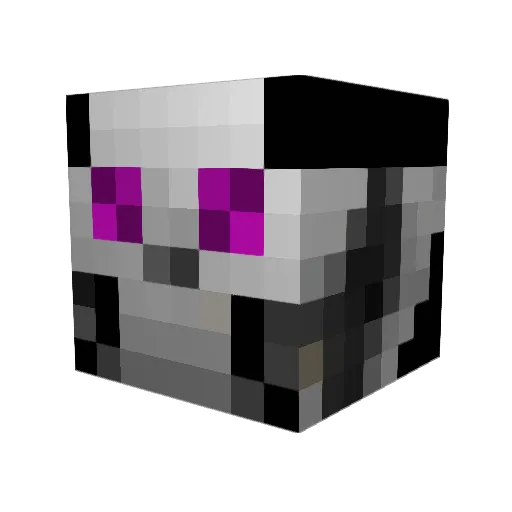 Covert_Koala Minecraft avatar head, 3D render