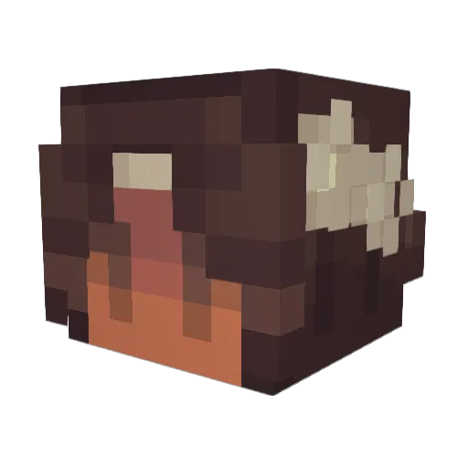 CovetingDawn Minecraft avatar head, 3D render