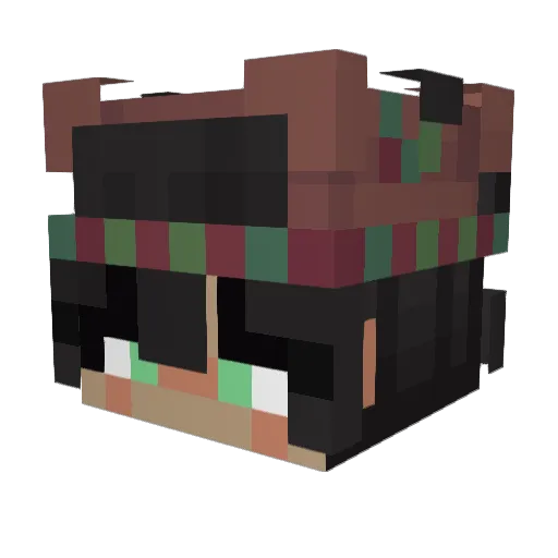 Covexity_ Minecraft avatar head, 3D render