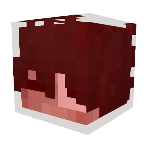 Covey_Sc Minecraft avatar head, 3D render