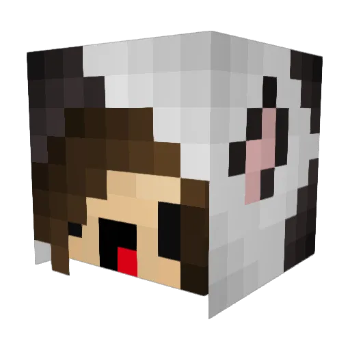 CowGotRoasted Minecraft avatar head, 3D render