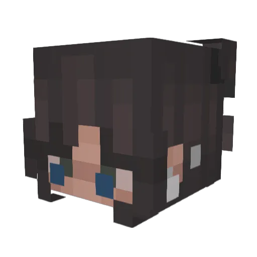 Cowbella12 Minecraft avatar head, 3D render