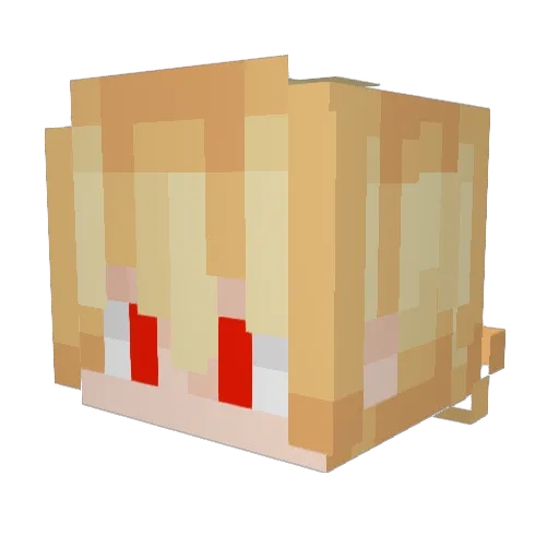 CowboyBoBob1 Minecraft avatar head, 3D render