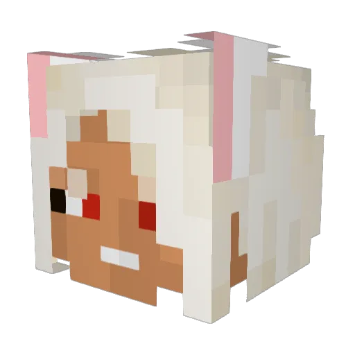 CowboyElijah Minecraft avatar head, 3D render