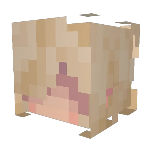 CowboyKitty0 Minecraft avatar head, 3D render