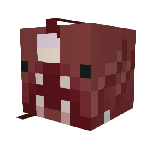 CowboyUnderscore Minecraft avatar head, 3D render