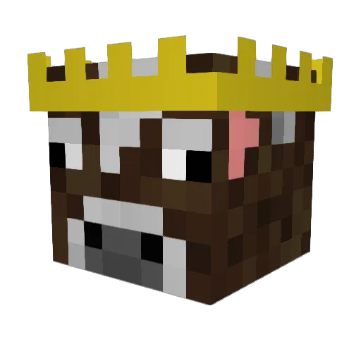CowboyZombie11 Minecraft avatar head, 3D render