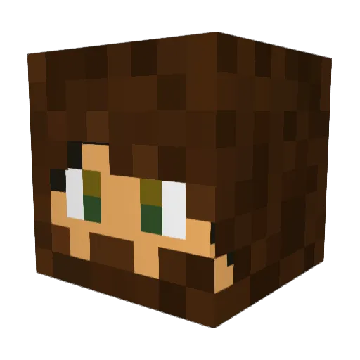 Cowboy_Redneck17 Minecraft avatar head, 3D render