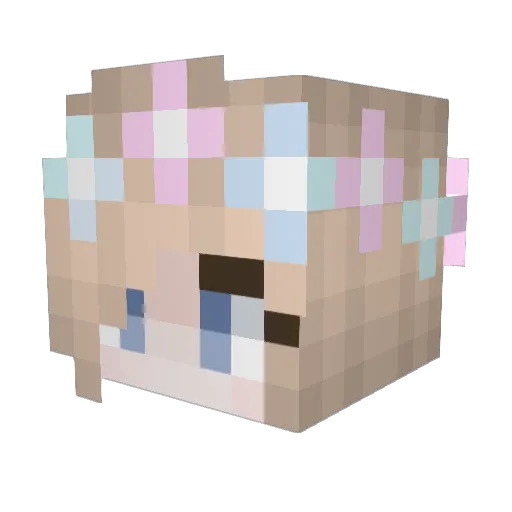 Cowboyface Minecraft avatar head, 3D render