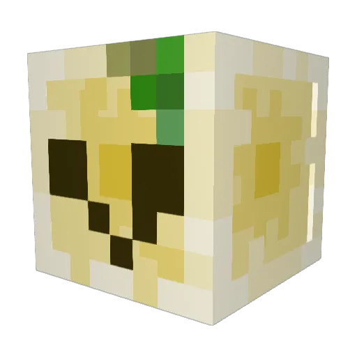 Cowbrownii Minecraft avatar head, 3D render