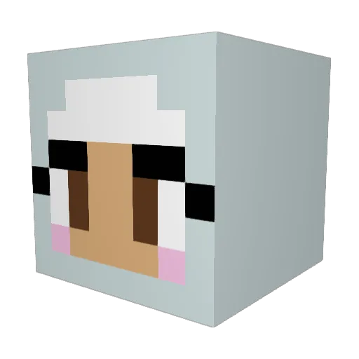 CoxSchong Minecraft avatar head, 3D render
