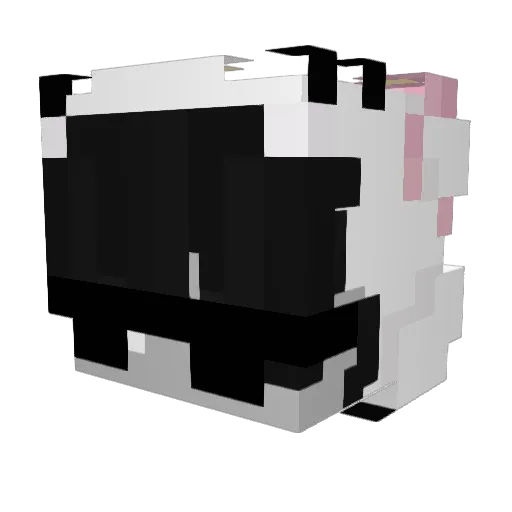 Coxyzzzz Minecraft avatar head, 3D render