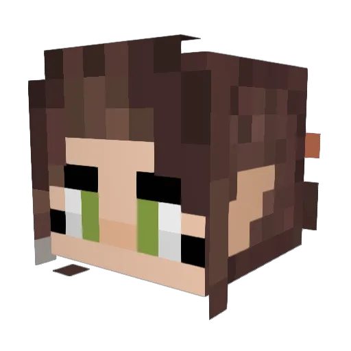 CoyDurian Minecraft avatar head, 3D render