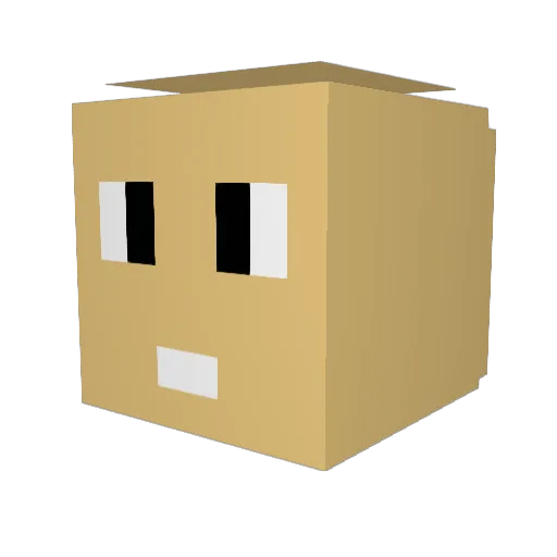CoyWire Minecraft avatar head, 3D render