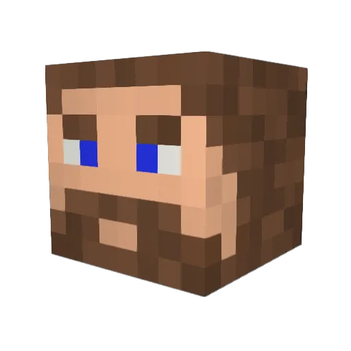 Coyot011 Minecraft avatar head, 3D render
