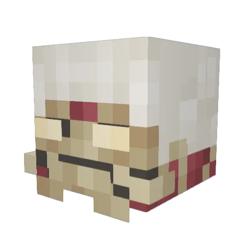 Coyote0004 Minecraft avatar head, 3D render