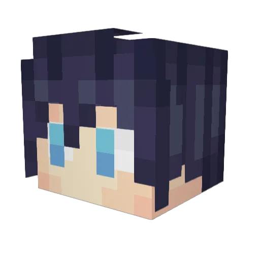 Coyote0712 Minecraft avatar head, 3D render