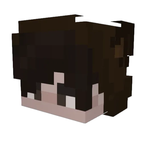 Coyote16 Minecraft avatar head, 3D render