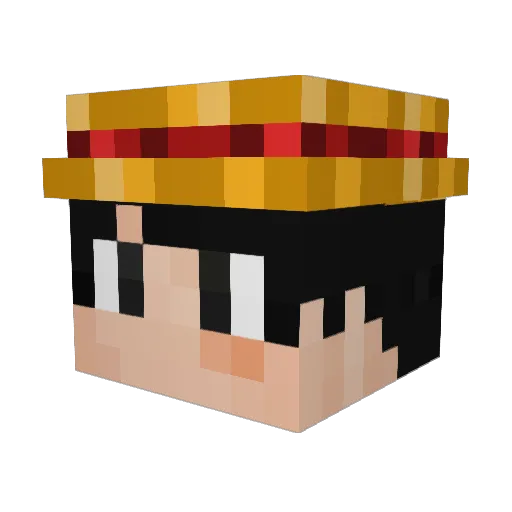 Coyote191 Minecraft avatar head, 3D render