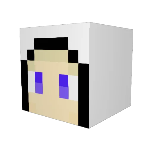 Coyote2112 Minecraft avatar head, 3D render