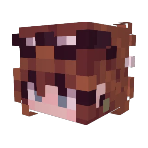 CoyoteGamer7337 Minecraft avatar head, 3D render