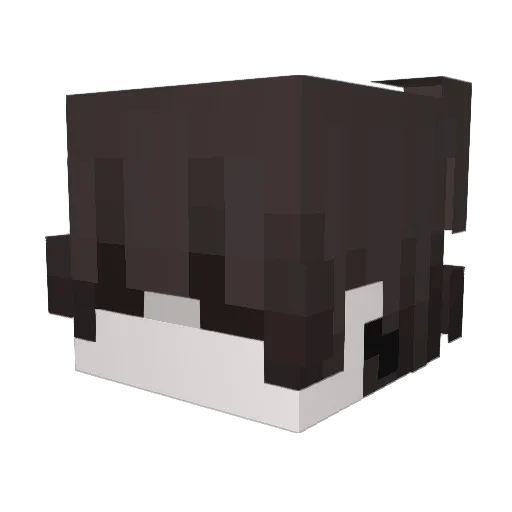 Coyote_12 Minecraft avatar head, 3D render