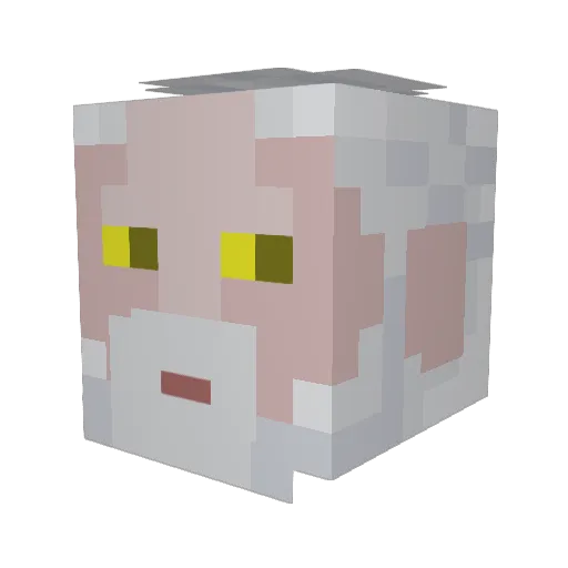 Coyote_1971 Minecraft avatar head, 3D render