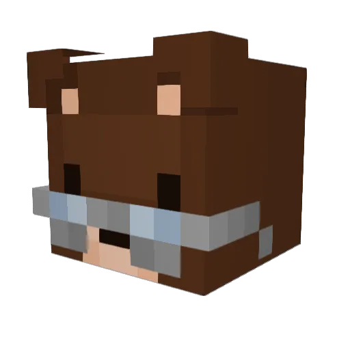 Coyotejake001 Minecraft avatar head, 3D render