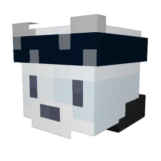 Coyotekiddo Minecraft avatar head, 3D render