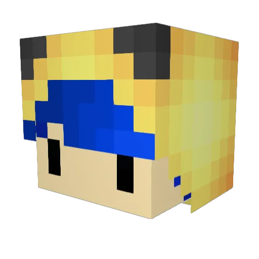 Coyoteking67 Minecraft avatar head, 3D render