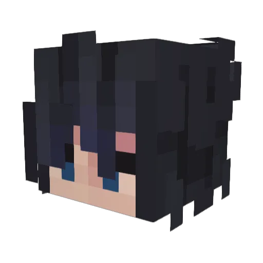 Coyotera Minecraft avatar head, 3D render