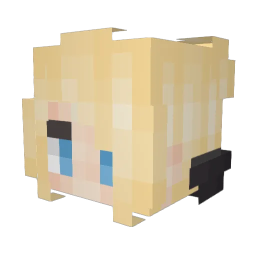 Coythie Minecraft avatar head, 3D render