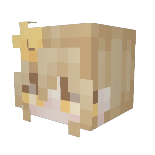 Cozmmic Minecraft avatar head, 3D render