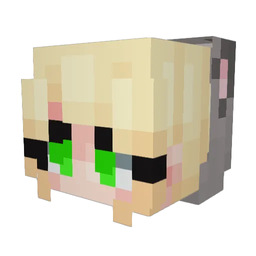 CozyButtonz Minecraft avatar head, 3D render