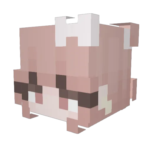 CozyCoffeGremlin Minecraft avatar head, 3D render