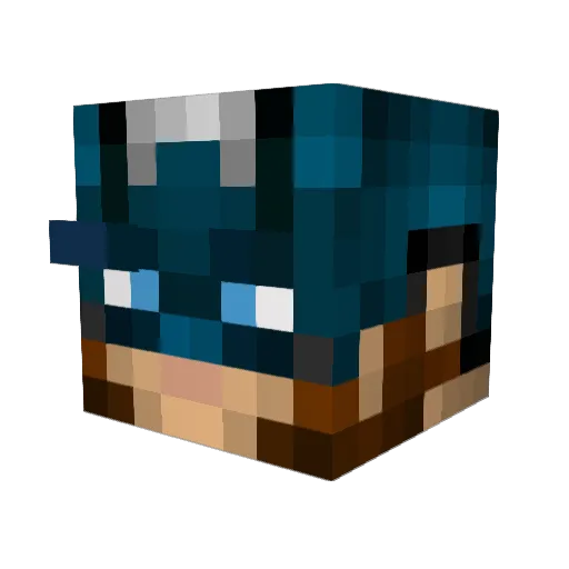 CozyDog26 Minecraft avatar head, 3D render