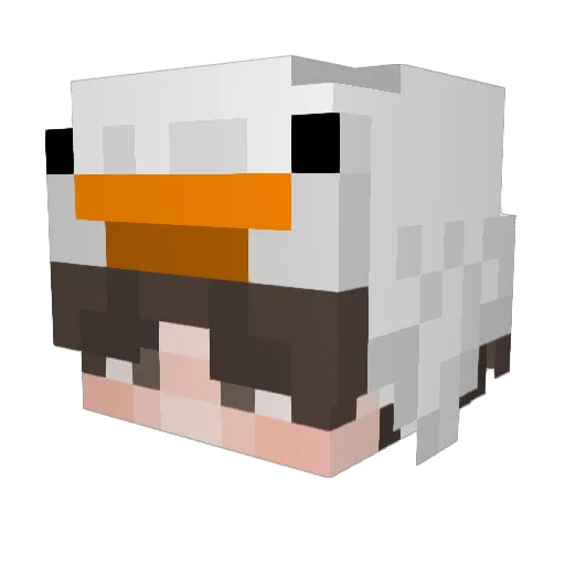 CozyGamingDuck Minecraft avatar head, 3D render