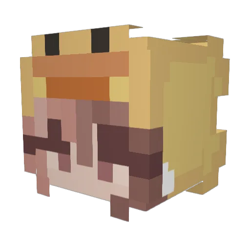 CozyMistie Minecraft avatar head, 3D render