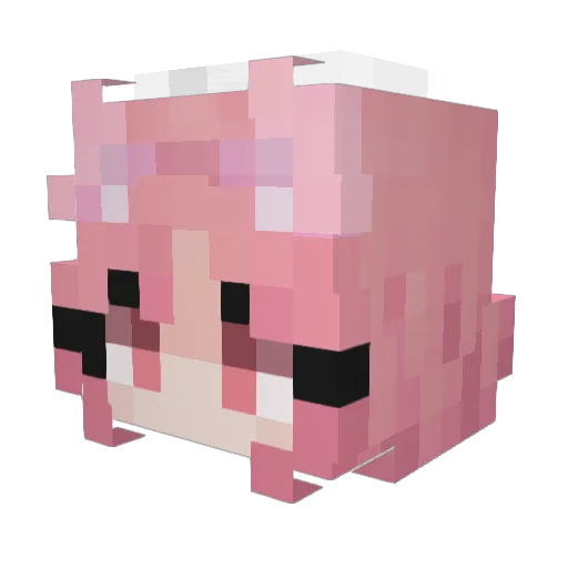 Cozy_Pastel Minecraft avatar head, 3D render