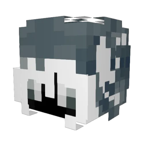 Cozy_Sleeper Minecraft avatar head, 3D render