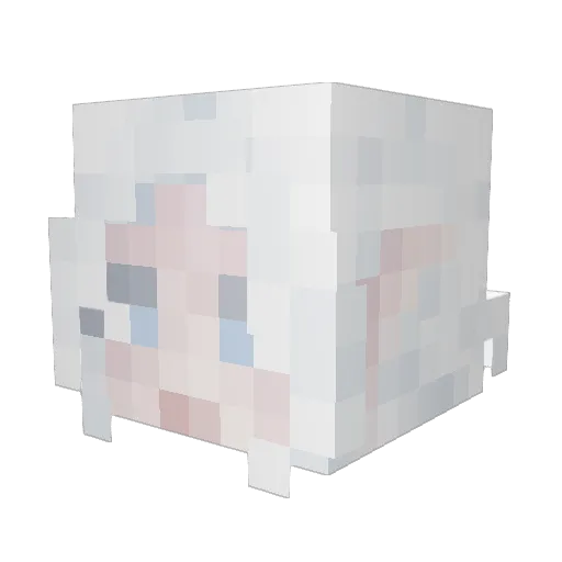 Cozy_Tea Minecraft avatar head, 3D render