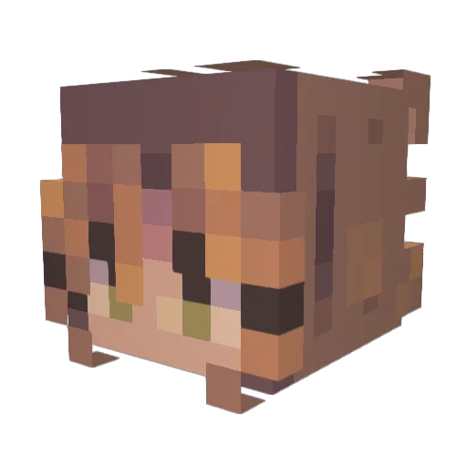 Cozyforager Minecraft avatar head, 3D render