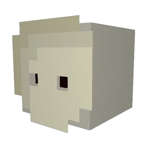 CpTnKoSHeR Minecraft avatar head, 3D render