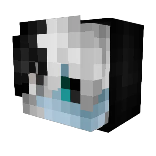 Cponon Minecraft avatar head, 3D render
