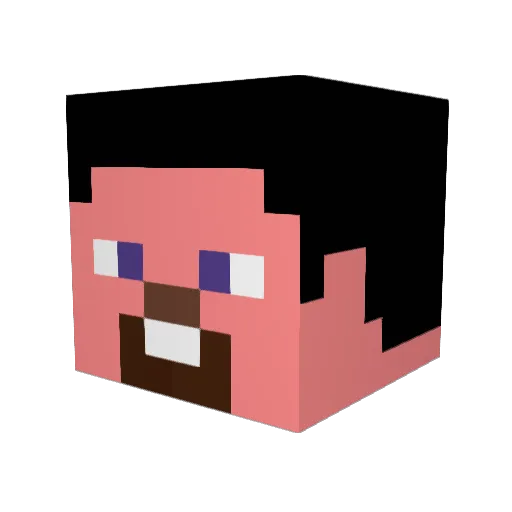 CptAstrix93 Minecraft avatar head, 3D render