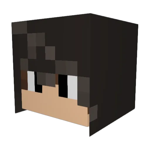CptFlyingRoo Minecraft avatar head, 3D render