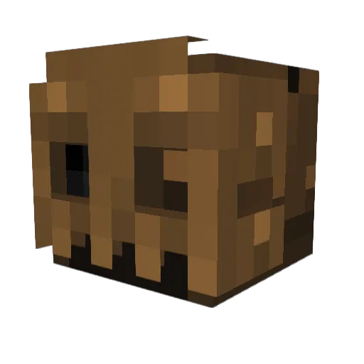 CptKnightly Minecraft avatar head, 3D render