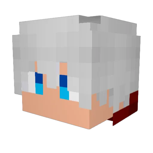 CptSku11 Minecraft avatar head, 3D render
